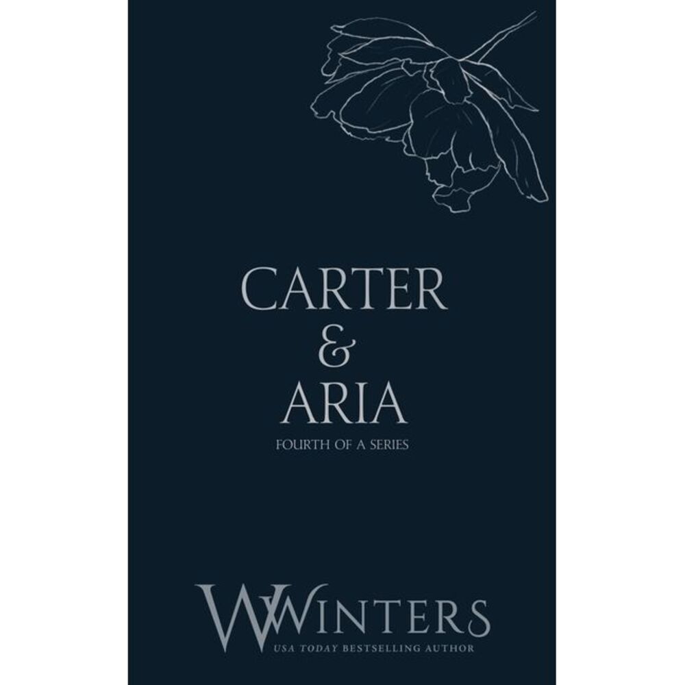Carter & Aria: Endless -- Willow Winters